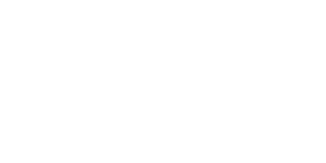 Logo von Bora in weiß.